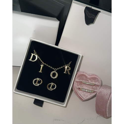 EXCLUSIVE | Dr. Earrings Silver
